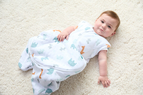 2.5 Cuddle to Sleep - Image 8